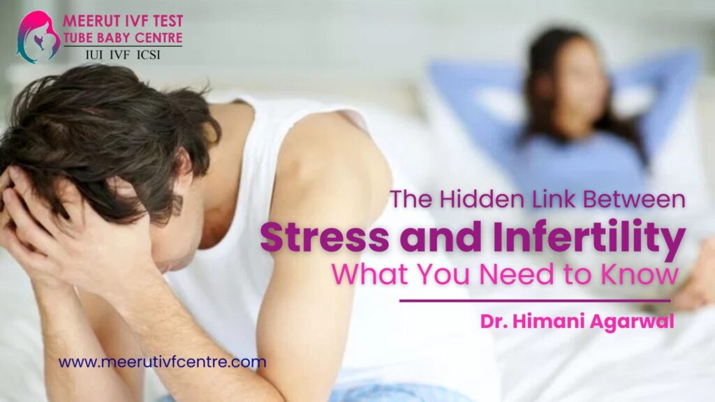 Stress and Infertility