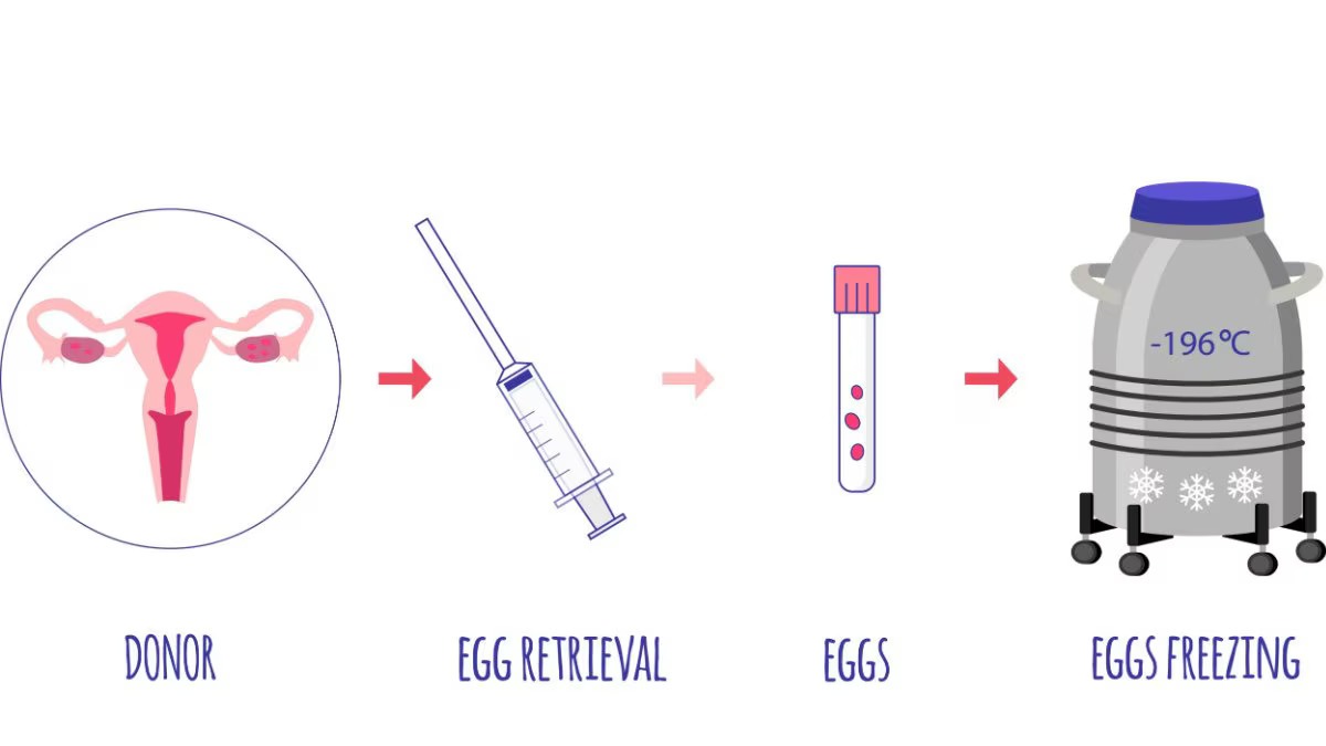 Egg Freezing