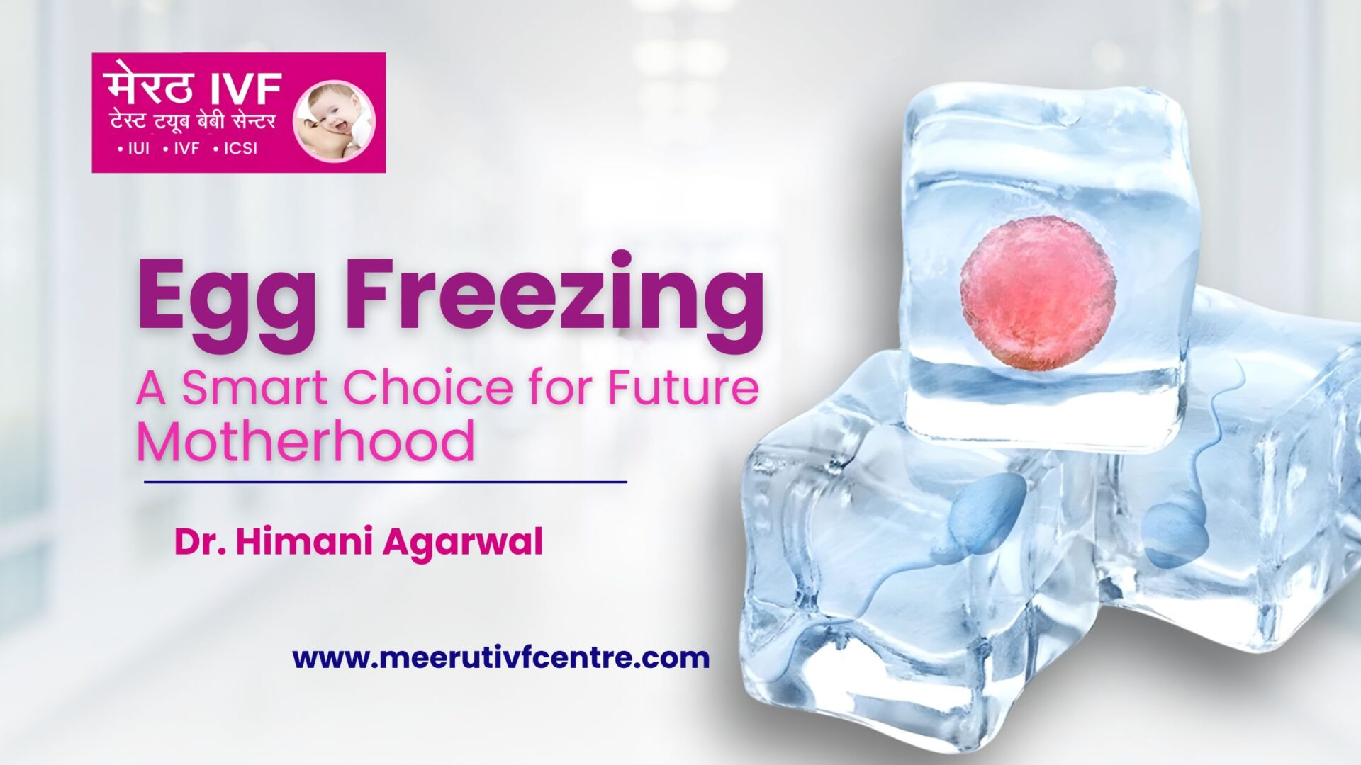 Egg Freezing